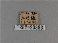 玉帶弄蝶藏品圖，第3張