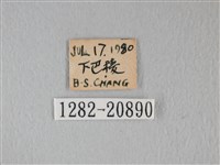 靛色琉灰蝶藏品圖，第3張