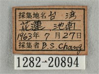 雅波灰蝶藏品圖，第3張