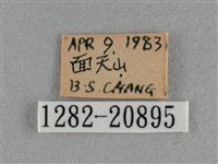 紫日灰蝶藏品圖，第3張