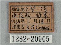 紫日灰蝶藏品圖，第3張
