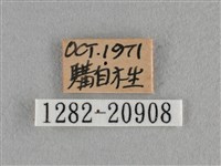 臺灣榿翠灰蝶藏品圖，第3張