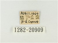 玳灰蝶藏品圖，第3張