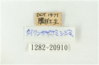 漣紋青灰蝶藏品圖，第3張