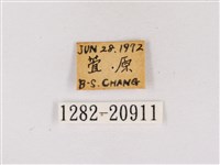 嫵琉灰蝶藏品圖，第3張