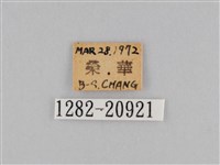 密紋波眼蝶藏品圖，第3張