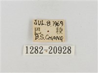 昏列弄蝶藏品圖，第3張