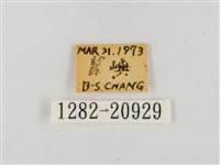 薑弄蝶藏品圖，第3張