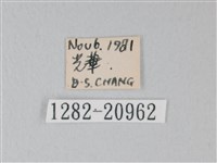 靛色琉灰蝶藏品圖，第3張