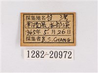 嫵琉灰蝶藏品圖，第3張