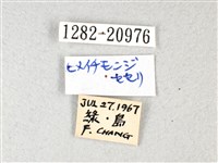 禾弄蝶藏品圖，第3張