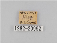 小波眼蝶藏品圖，第3張