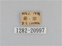 江崎波眼蝶藏品圖，第3張