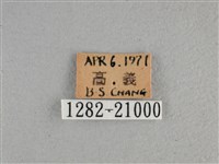 黃星弄蝶藏品圖，第3張