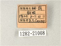 長翅弄蝶藏品圖，第3張