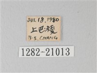 靛色琉灰蝶藏品圖，第3張