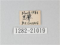 靛色琉灰蝶藏品圖，第3張