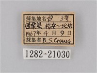 小波眼蝶藏品圖，第3張