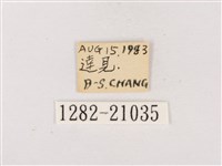 嫵琉灰蝶藏品圖，第3張