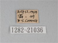 靛色琉灰蝶藏品圖，第3張