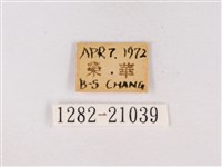 嫵琉灰蝶藏品圖，第3張
