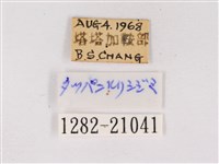 嫵琉灰蝶藏品圖，第3張