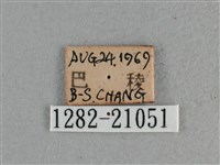 白斑弄蝶藏品圖，第3張