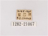 嫵琉灰蝶藏品圖，第3張