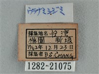 豆波灰蝶藏品圖，第3張