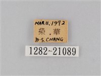 小波眼蝶藏品圖，第3張
