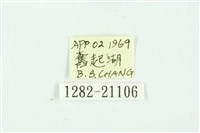 黃斑弄蝶藏品圖，第3張