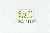 魑魅星弄蝶藏品圖，第3張