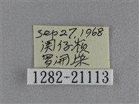 小稻弄蝶藏品圖，第3張