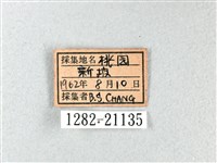 長翅弄蝶藏品圖，第3張