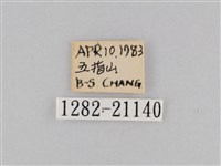 密紋波眼蝶藏品圖，第3張