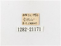 玉山幽眼蝶藏品圖，第3張