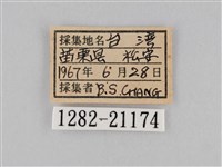 小波眼蝶藏品圖，第3張