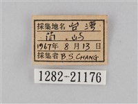 小波眼蝶藏品圖，第3張