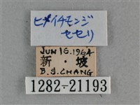 小稻弄蝶藏品圖，第3張