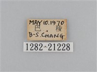 江崎波眼蝶藏品圖，第3張