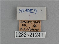 曲紋袖弄蝶藏品圖，第3張