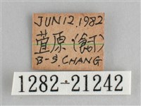 森林暮眼蝶、黑樹蔭蝶藏品圖，第3張