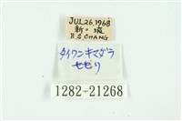 黃斑弄蝶藏品圖，第3張