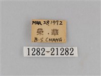 江崎波眼蝶藏品圖，第3張