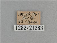 曲紋袖弄蝶藏品圖，第3張