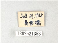 長翅弄蝶藏品圖，第3張