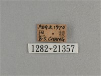 臺灣斑眼蝶藏品圖，第3張