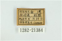白腹青灰蝶藏品圖，第3張