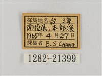 假禾弄蝶藏品圖，第3張