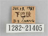 臺灣黛眼蝶藏品圖，第3張